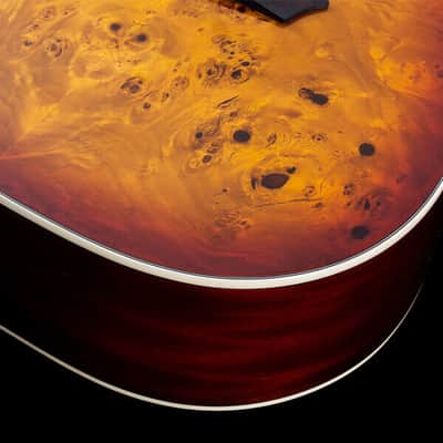 Washburn DFBDA Deep Forest Burl Collection Dreadnought Acoustic Guitar-Amber Fade Gloss image 16