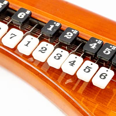 Suzuki CHK-1 Kohaku Electric Taishogoto 27-Key 5-String Harp w/ Case image 5