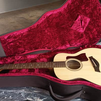 Taylor GT Urban Ash image 1