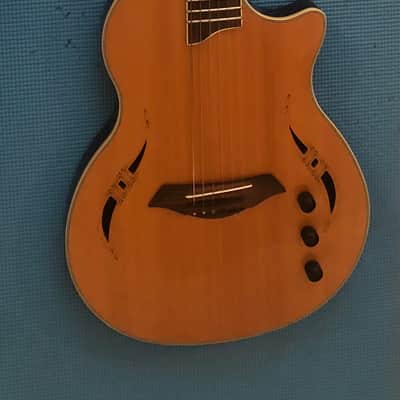 GIANNINI electric guitars for sale in USA | guitar-list