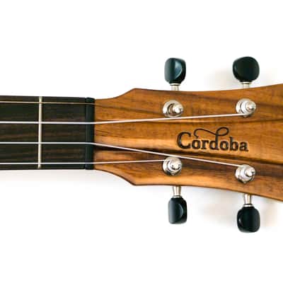 Cordoba 35T-CE Tenor Ukulele "Quicksilver" image 6