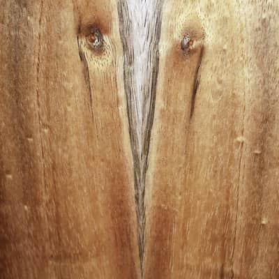 Taylor GS Mini-e Koa Acoustic-Electric Guitar – Exotic Hawaiian Koa image 10