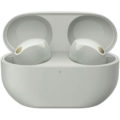 Sony WF-1000XM5 Industry Leading Noise Canceling Truly Wireless Earbuds (Silver) image 2