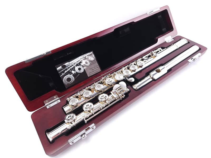 Refurbished Di Zhao 700 (801 Silver Pre-Pro Step Up Flute B Foot Open Hole image 1