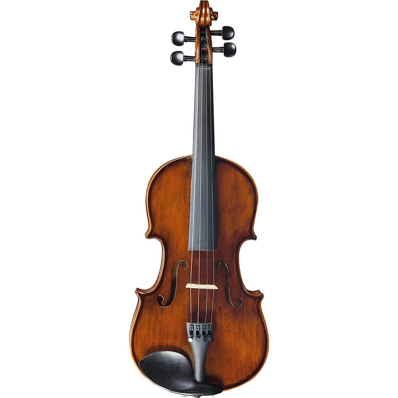 EKO BOWED INSTRUMENTS EBV-A 1413 4/4 Violino con dotazione image 1