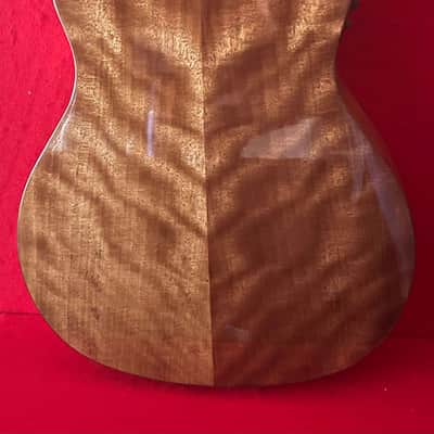 Washburn acoustic electric guitar image 4