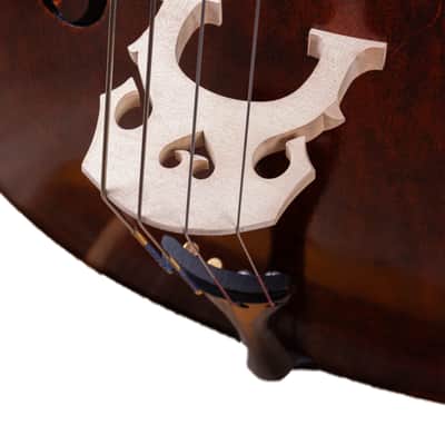 Gamba Doublebass 1/2 Hand-Made in Europe #12 image 9