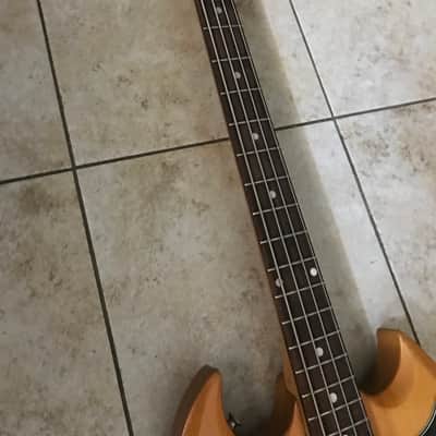 Westone bass Eb-3 mid 79s image 7