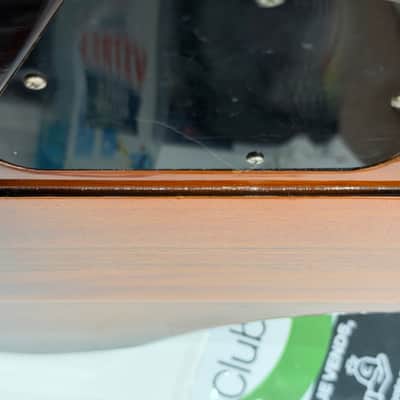 Gibson 120th Anniversary Thunderbird IV 2014 - Vintage Sunburst image 12