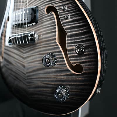 PRS Private Stock 30th Anniversary "Birds of a Feather" Hollowbody I #179 image 15