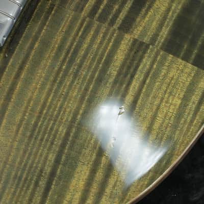 Paul Reed Smith (PRS) 2014 Wood Library Paul's Guitar Leprechaun Tooth [14 213120] (05/01) image 4