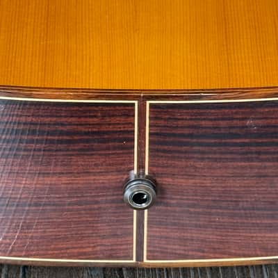 Cordoba Pro R Classical Guitar - Acoustic/Electric - LR Baggs Pickup - Hardcase image 6