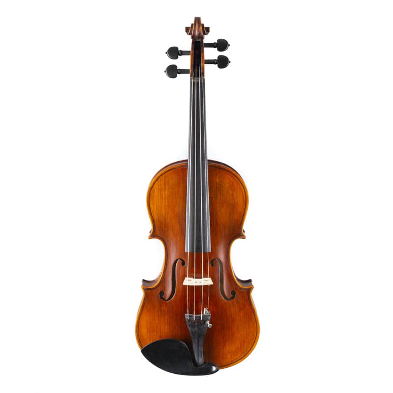Stentor 4/4 Violine Elysia - Violin