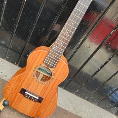 Kala Kala James Hill Concert electric Ukulele - Mahogany image 8