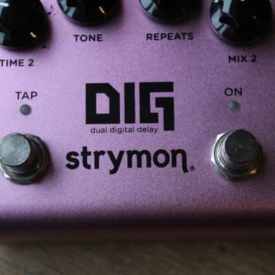 Strymon DIG Dual Digital Delay V2 image 2