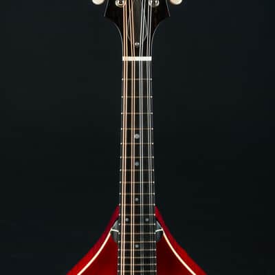 Collings MT-O Cherry Burst Gloss Top Custom Mandolin NEW image 10