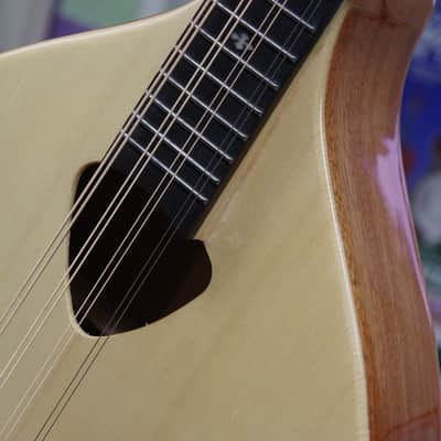 GOLD TONE Mandola 8-string viola style tuning MANDOLIN w/ BAG - Solid Top - B stock image 7