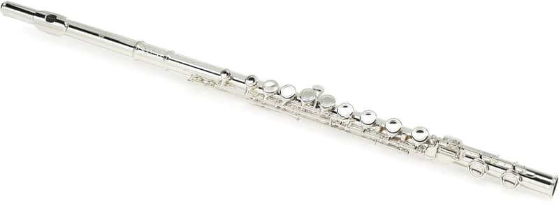 Di Zhao Flutes DZ 301 Student Flute with Offset G image 1