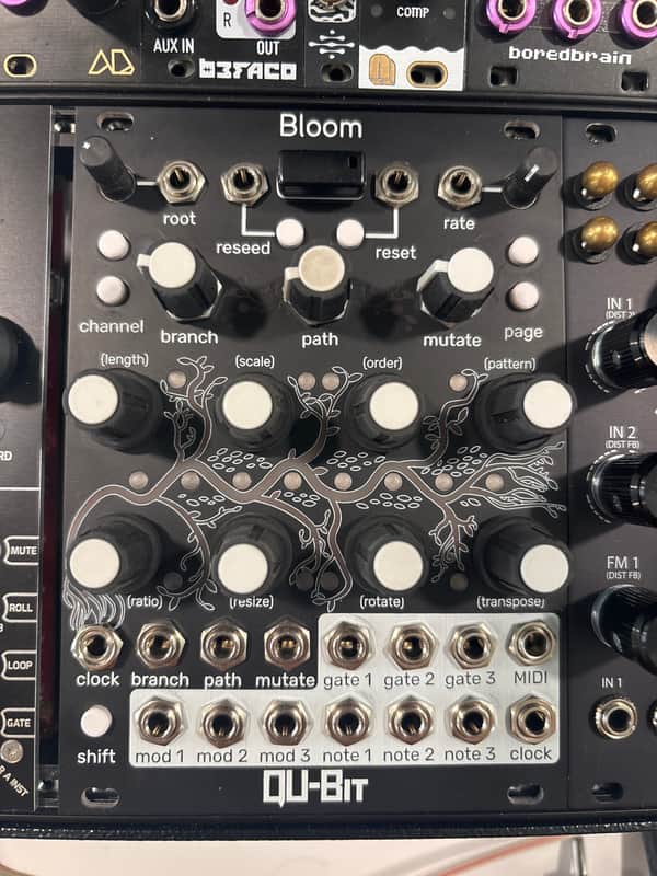 Qu-Bit Electronix Bloom V2