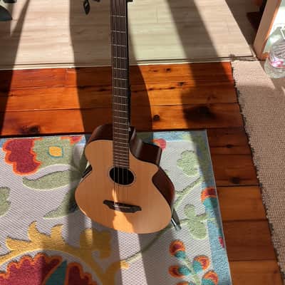 Used Breedlove ABJ250/SM4 Acoustic Bass Guitar image 9
