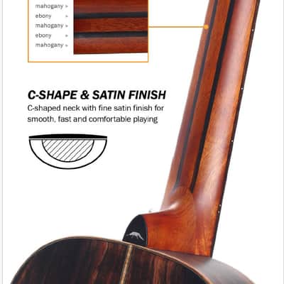 Bromo BAR 6 E SOLID TOP PARLOR SIZE ACOUSTIC GUITAR image 8