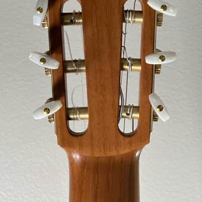 Juan M Garcia Fernandez Flamenco Blanca 2025 - French polish image 8