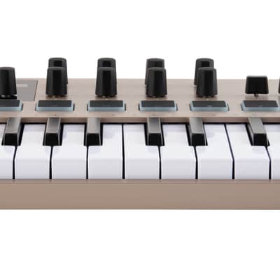 Arturia MiniLab 3 Champagne Edition image 4