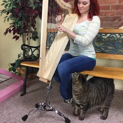 Rees Harps Harpsicle Adjustable Harp Stand, Natural Maple - ACC7001 image 2