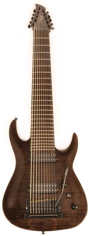 Agile 10 String Electric Guitar w/ Kahler Tremolo Interceptor Pro 1030 EB CP Black Flame image 1