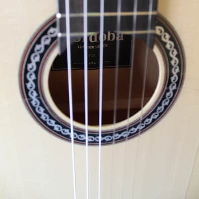 Brand New Cordoba F10 Flamenco Blanca Guitar image 5
