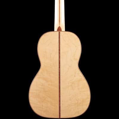 Martin Custom Shop Terz Style 5 Birdseye Maple (003) image 3