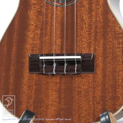 ASTURIAS <MIJ>Solo Ukulele Mahogany image 9