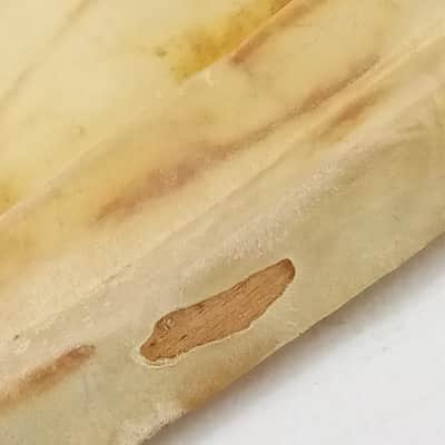 Crown 16" Calf Skin Slunk Thin Resonant Marching Snare Drum Head Vintage 50s USA image 4