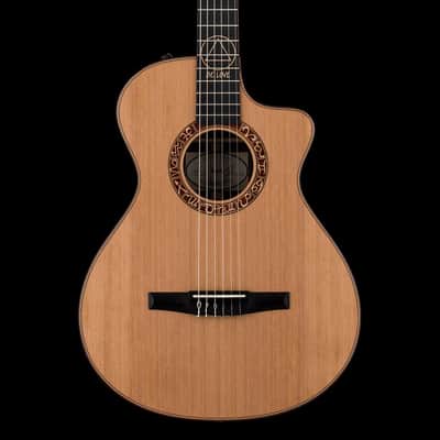 Taylor Jason Mraz Signature JMSM #25022 (NAMM 2026) image 3