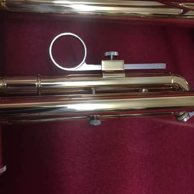 Monique Trumpet 2020's - Brass image 4