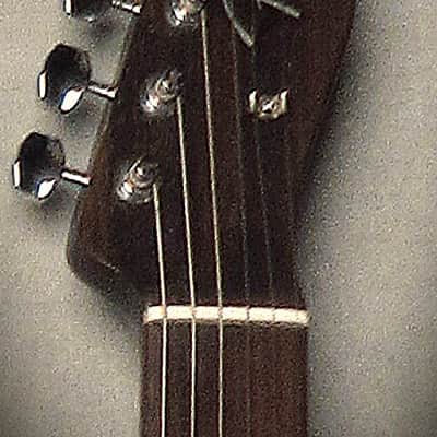 Fender Custom Shop Twisted Rosewood Telecaster NOS Limited Edition 2025 Natural image 9