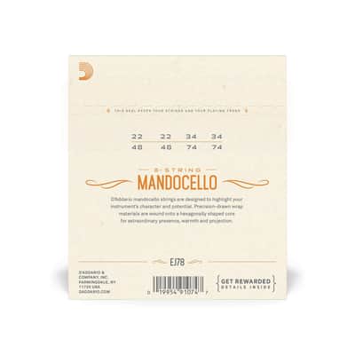 Ej78 Mandocello, Phosphor Bronze, 22 74 image 2