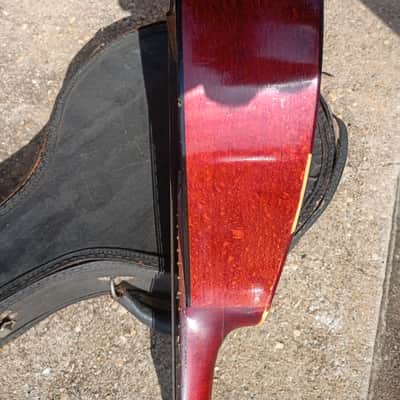 Amada Bowl Back Vintage Mandolin |  1950s image 3
