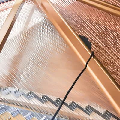 REMIC P6100 DUAL Microphone Kit for Upright and Grand Piano image 5