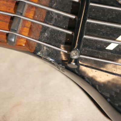 Peavey GV 5-string Bass Guitar Black * Graphite Neck * - For The Locals image 20