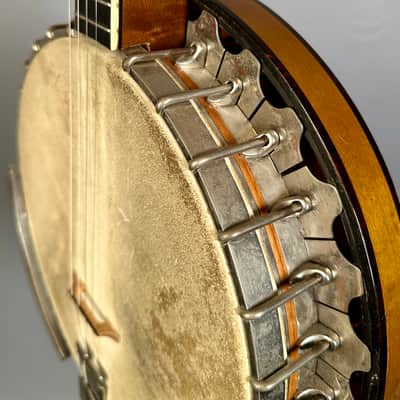 Vega Tubaphone Professional Tenor Banjo 1924 image 9