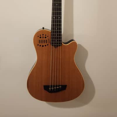 GODIN A5 SA 2006 - 5 STRING BASS image 1