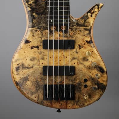 BQW Tavern series 5 string Bass image 5