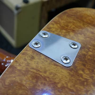 Eko Ranger VI Electroacoustic (Hard Case included) image 11