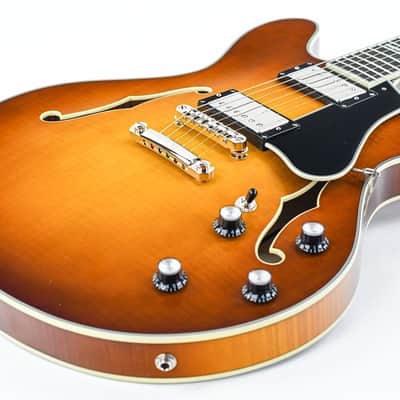 Eastman T486 Goldburst image 11