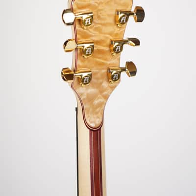 Alembic Darling image 8