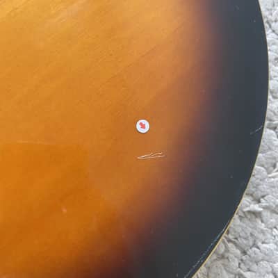 Tanglewood Left Handed Semi Hollow Jazz Guitar, Rosewood Fingerboard Neck image 11
