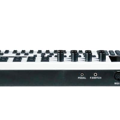 Isla Instruments Kordbot MIDI Controller / Arpeggiator / Sequencer image 3