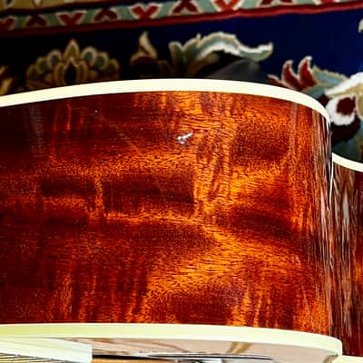 2008 Bourgeois Custom Banjo Killer Slope D image 11