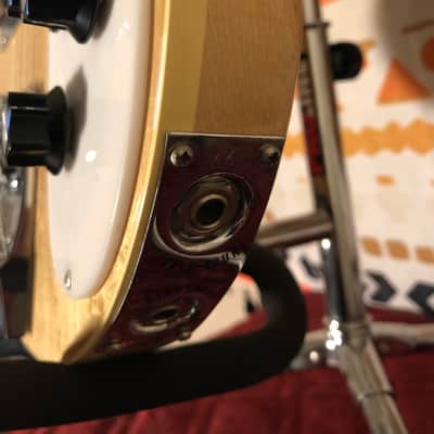 Rickenbacker 4003 Bass 1984 image 4